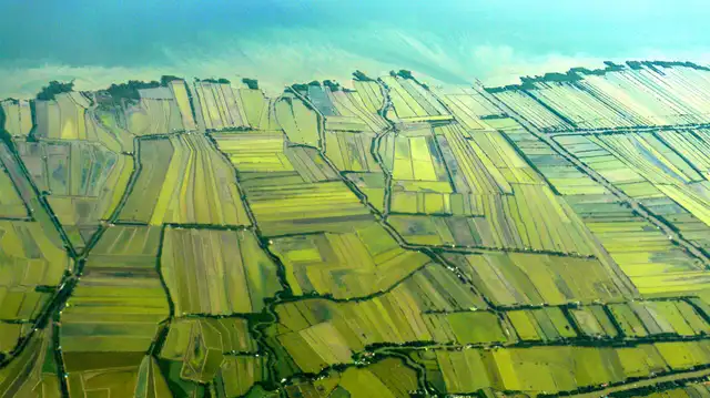 Aerial view of coastal ponds on The Bangkok Sea tour