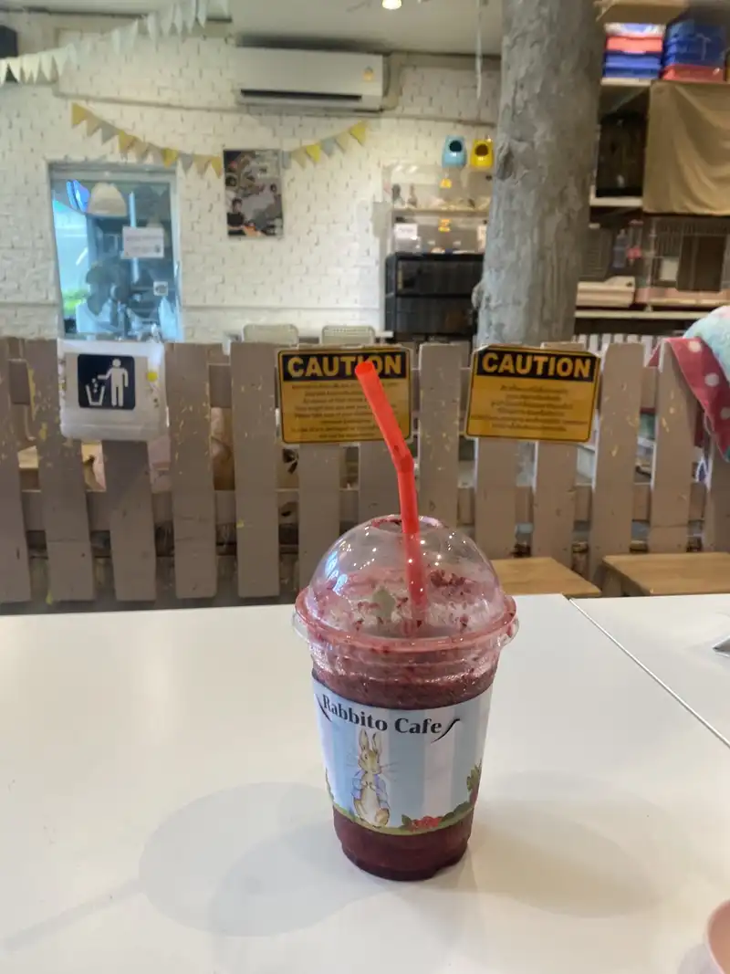 A drink in a Rabbito Cafe cup